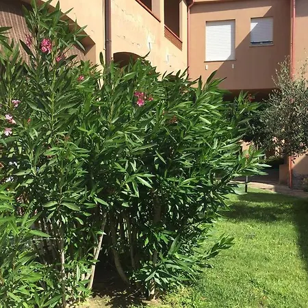 La Chiocciola, Confort, Self Check-in, Parking Gratuito, Fronte Bus Arst, Navetta Mare E Postazione Noleggio Monopattini Elettrici * Villasimius